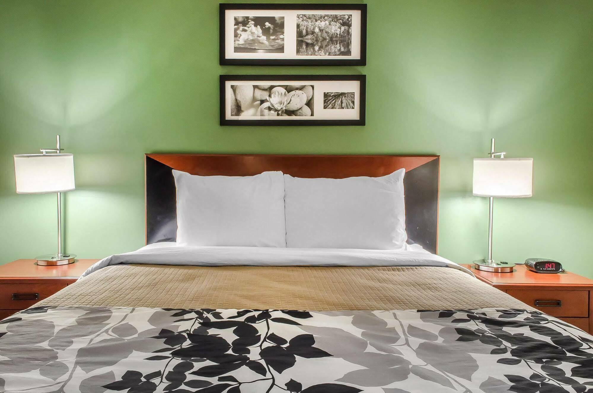 Sleep Inn Near Penn State - State College, Pa Экстерьер фото